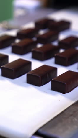 confectionery plant worker in blue gloves picks up ready candies from assembly line. freshly-made chocolate sweets being removed from a conveyor line. close up vertical video