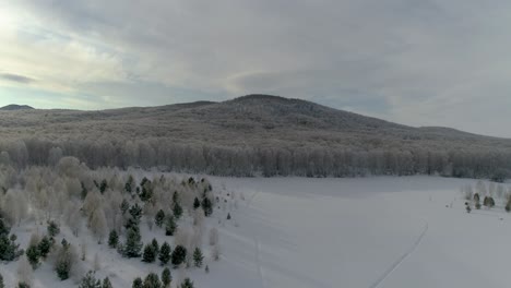 aerial view of a snowy forest in winter