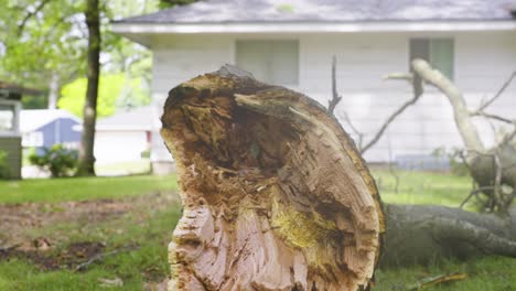 Pulling away from the massive limb