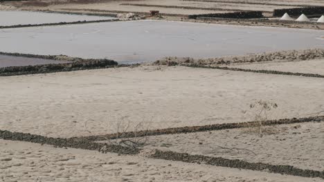 Salinas-de-Janubio-square-flats-Lanzarote-Canary-Islands