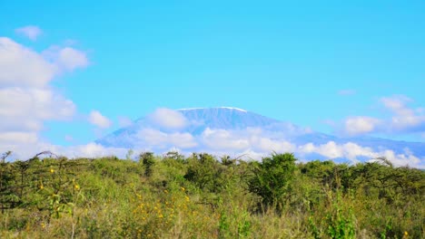 view of mount kilimanjaro with snow on top from the savannah of the amboseli national park in kenya