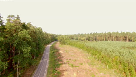 logging clear cut