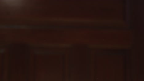 floating dust particles in dark background