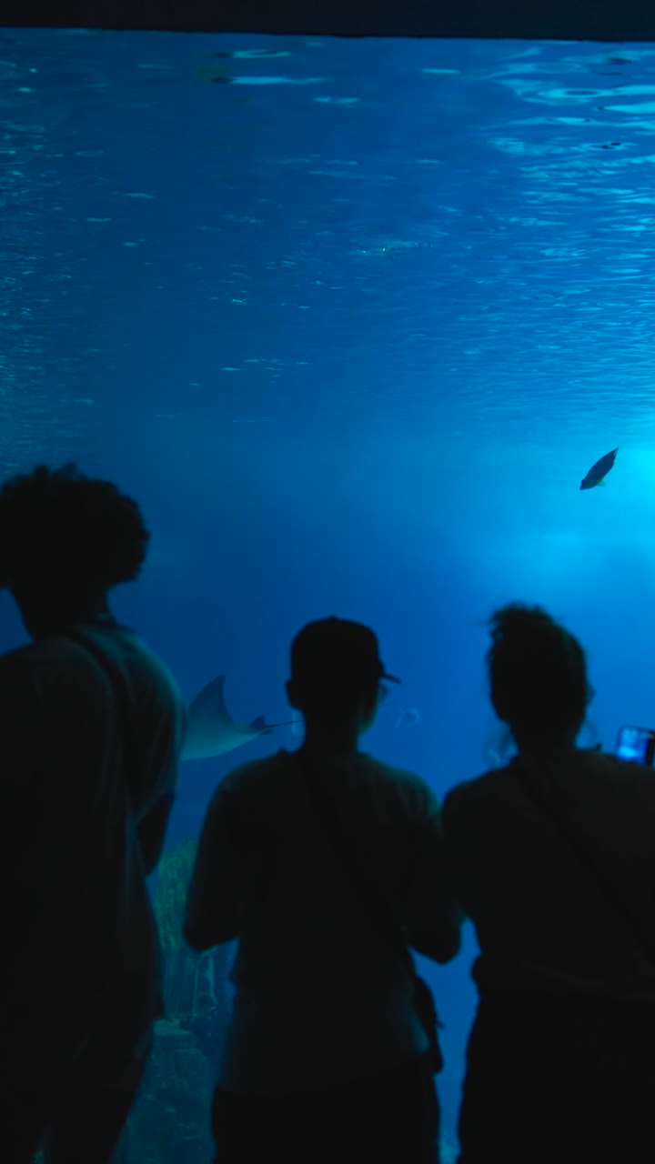 People Observing Marine Life in a Blue Aquarium