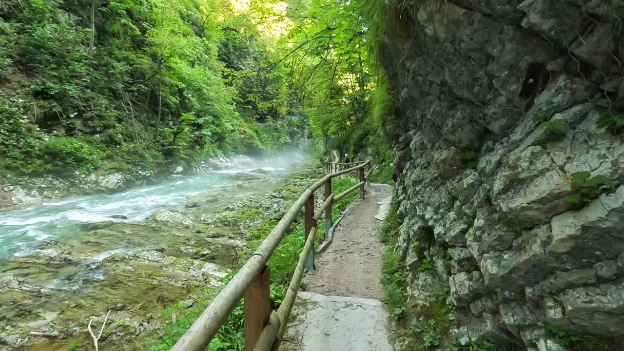 Sentiero fluviale panoramico attraverso una foresta rigogliosa