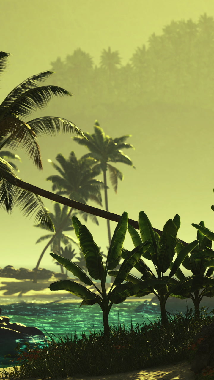 Lush tropical landscape with palm trees by the serene water under golden light