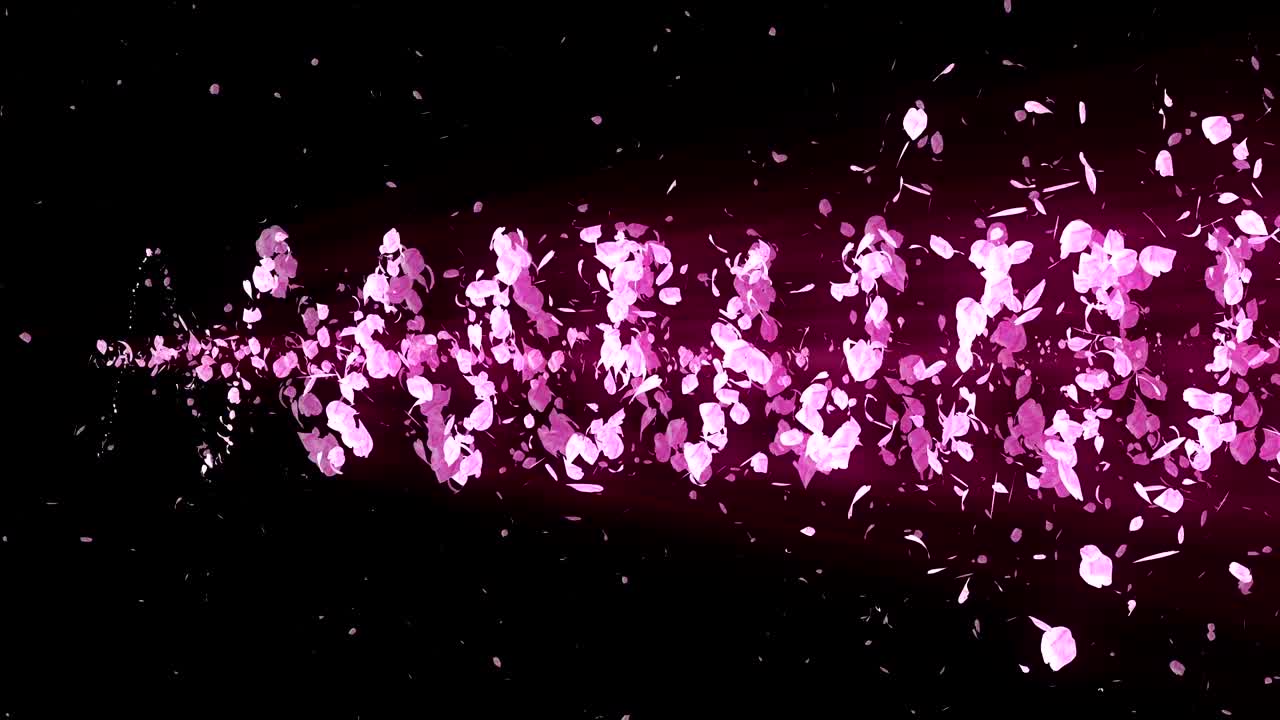 꽃의 나선형 반이는 입자, 사쿠라 패턴, 일본의 꽃 춤, 분홍색 꽃잎의 소용돌이, 추상적인 루프 애니메이션.