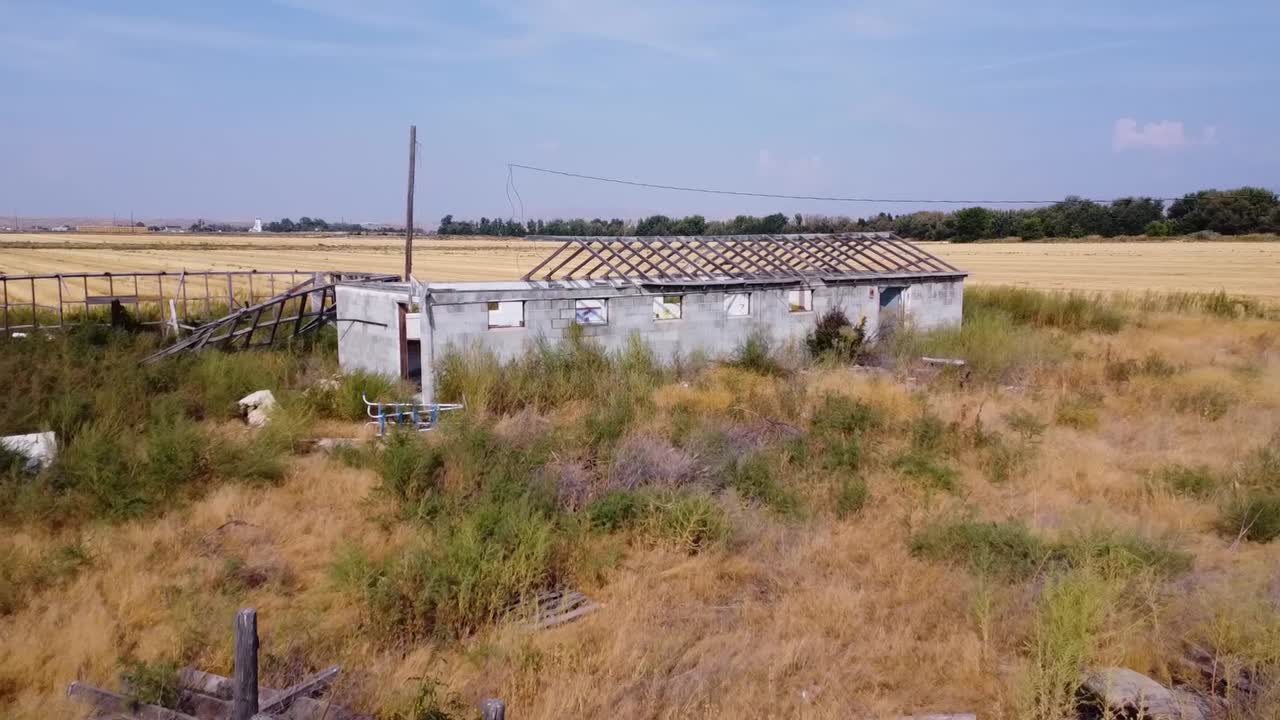 imágenes de drones de una estructura abandonada en un campo de trigo rodeado de malezas 1080p 120 fps