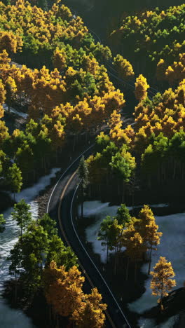 aerial view of winding road through autumn forest