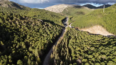 aerial view of a scenic mountain road through a pine forest