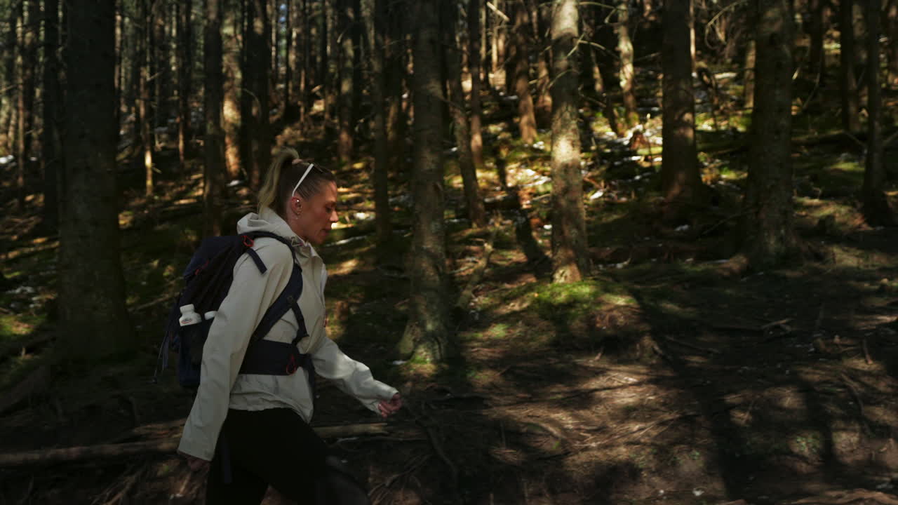 A hiker walks under shade of dense tree canopy surrounded by pine trees and mountain quiet serenity, trunks pass in foreground