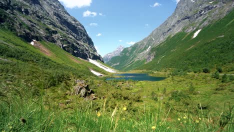 a green alpine valley in uravatnet, norangsdalen, norway