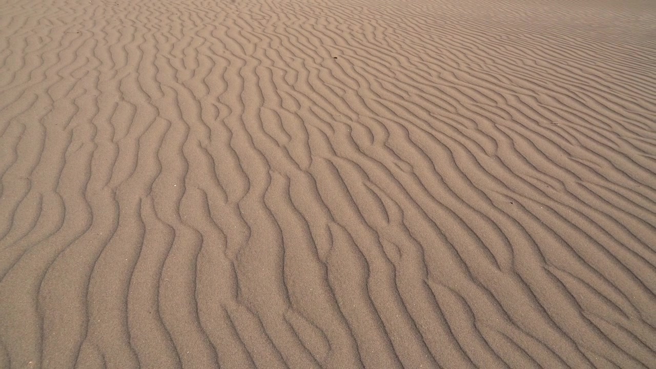 Rippled Sand Patterns on a Desert Dune