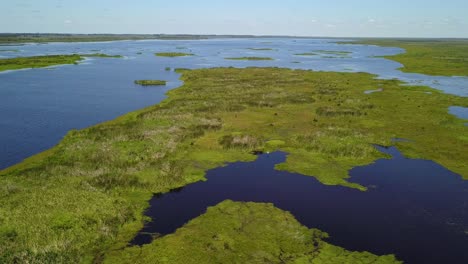 wetlands of northeast argentina shooted with drone