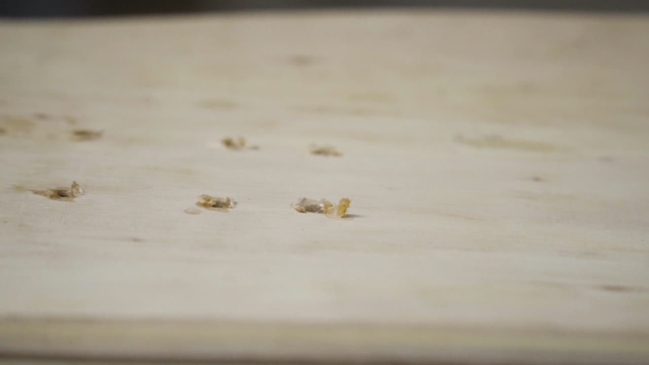 super primer plano, cubierta de madera de monopatín con agujeros perforados para atornillar camiones