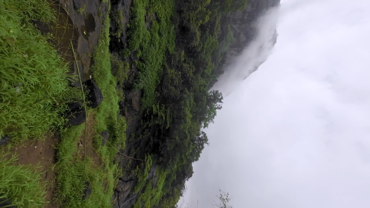 beautiful forest on theway to devkund waterfalls in pune