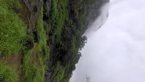 Hermoso-Bosque-Camino-A-Las-Cascadas-Devkund-En-Pune