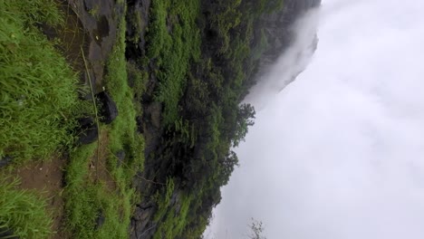 hermoso bosque en el camino a las cascadas de devkund en pune