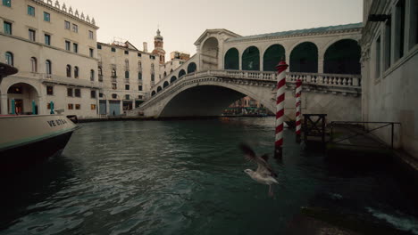 rialto bridge, venice, italy