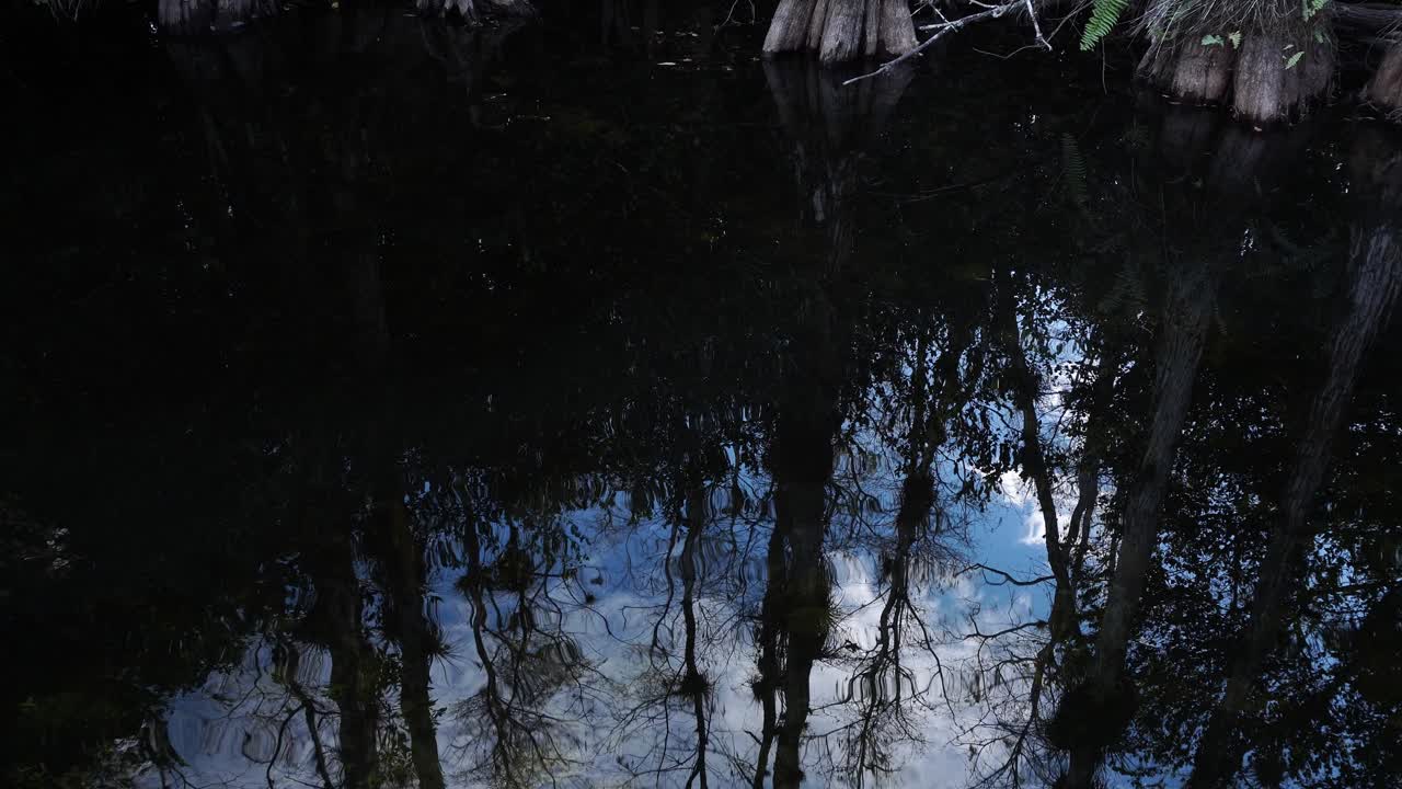 Waves on the water's surface where the reflection of the trees is seen with the sky illuminated by daylight. It is truly beautiful and of a great beauty