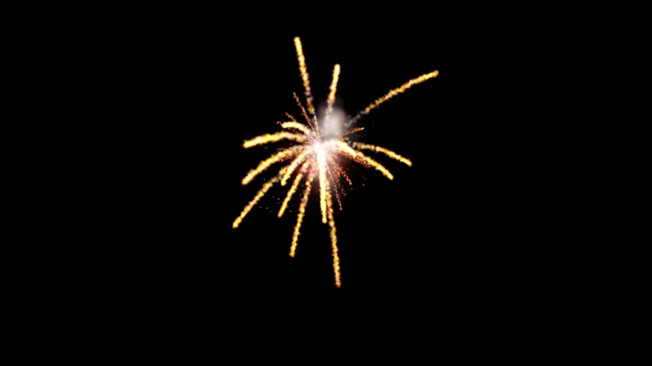 Spettacoli di fuochi d'artificio di notte