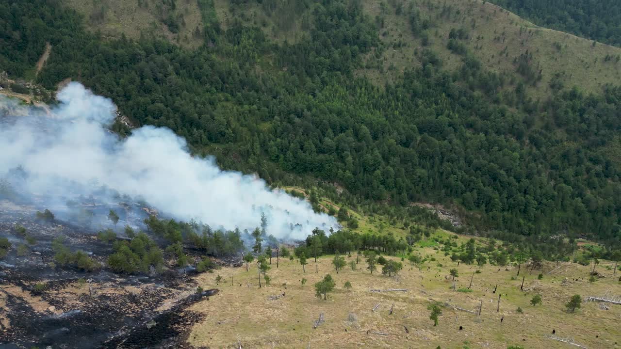 gran nube de humo que viene del bosque siendo quemado por incendios forestales