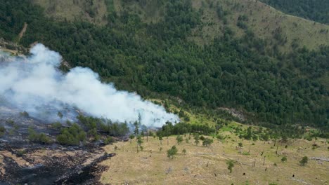 gran nube de humo que viene del bosque siendo quemado por incendios forestales