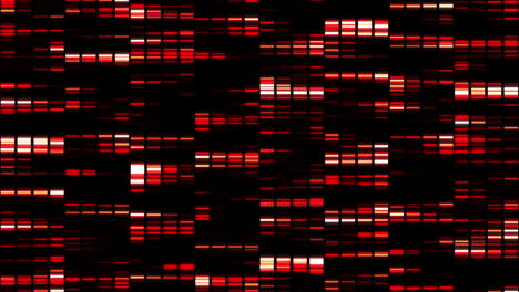 animation of red squares moving fast