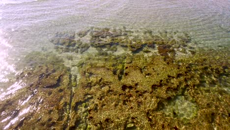 aerial tilt-up and ascent over the submerged intertidal beach, rocky point, puerto peñasco, gulf of california, mexico