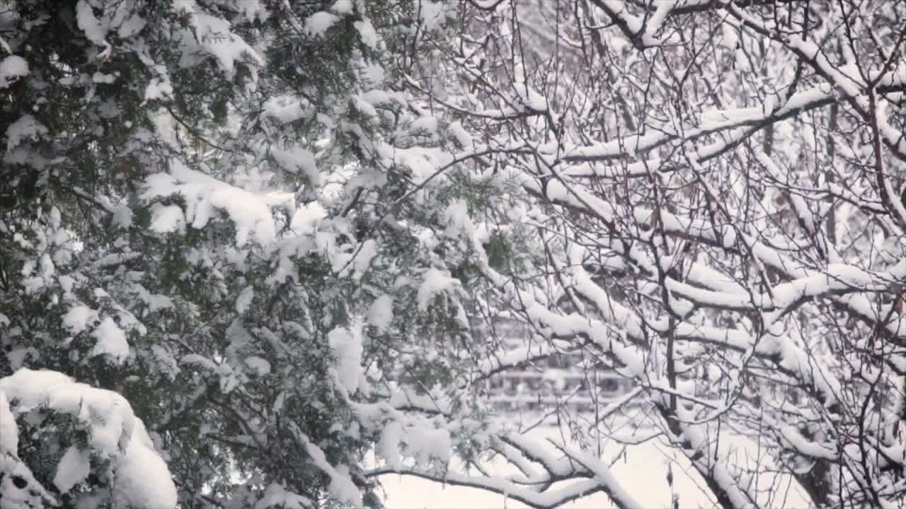 nevando en diciembre de 2018 ubicación: hungría, budapest grabado con un canon 6d