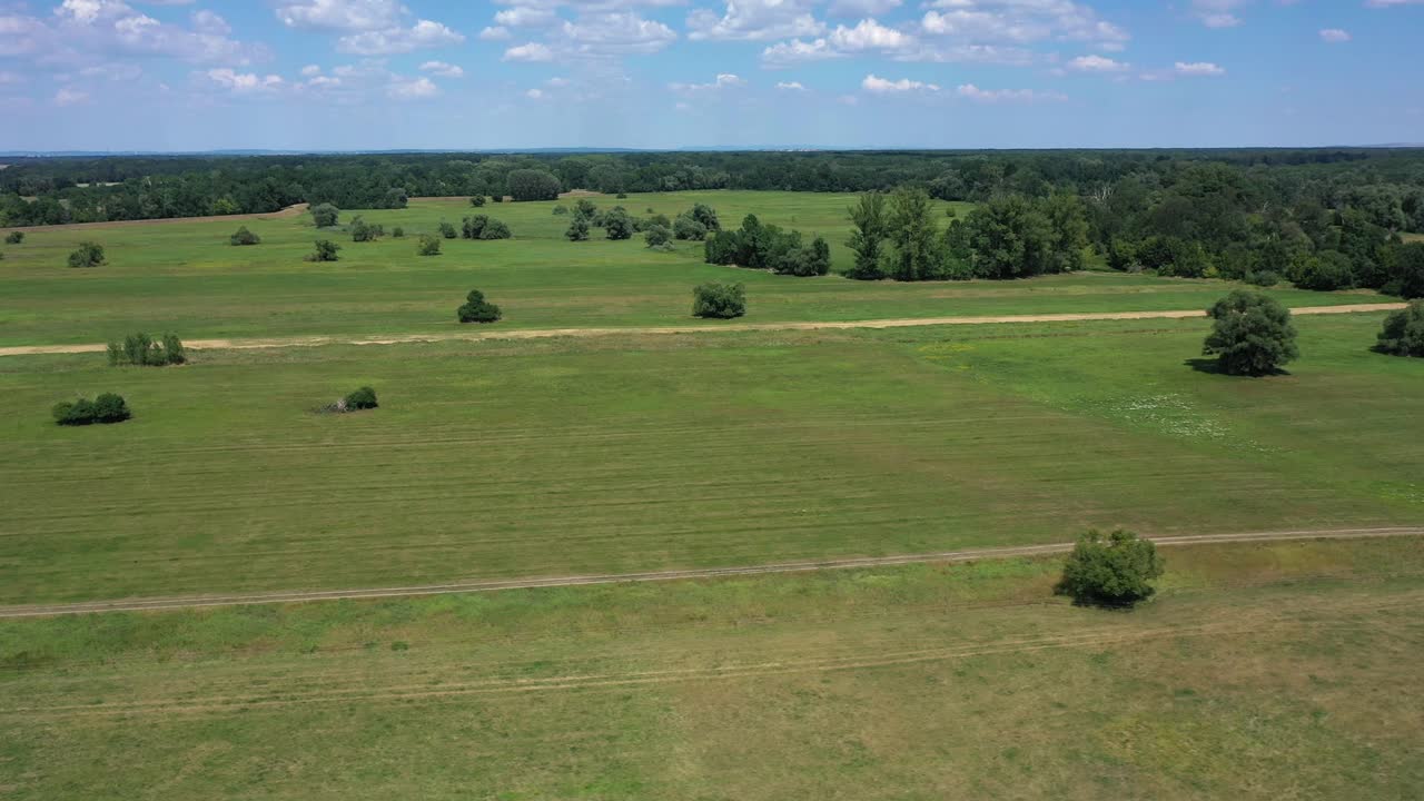 vista aérea de vastos pastizales en el campo con arbustos y árboles