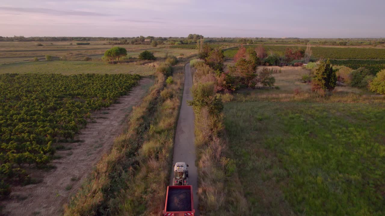 Aerial: tractor with trunk full of grapes driving fast through the fields of southern France