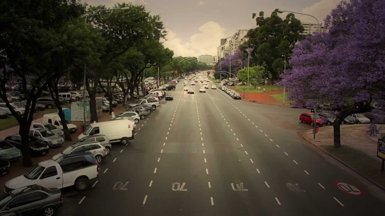 Strada urbana con traffico in movimento e alberi di jacaranda viola.