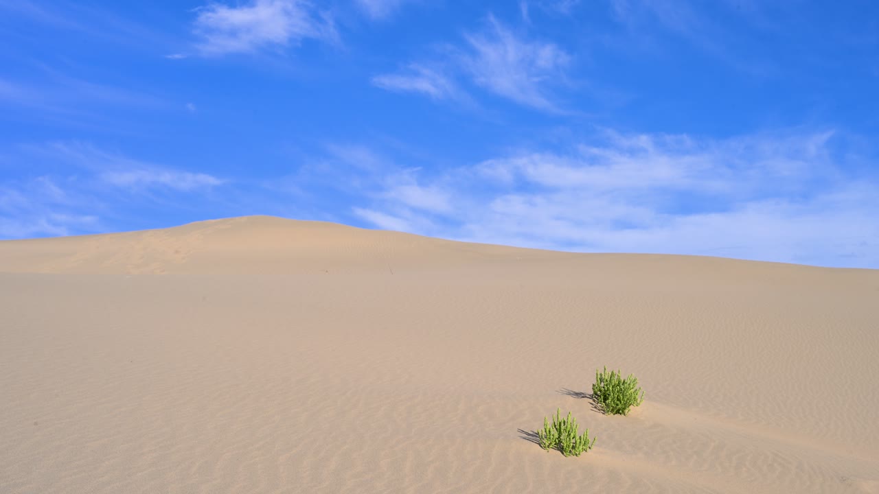 Sand dune landscape with blue sky and sparse vegetation