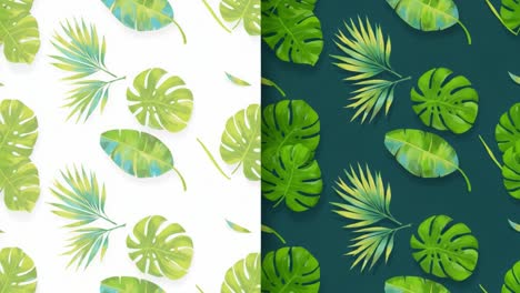 contrast in greenery: a captivating display of tropical leaves on light and dark backgrounds, showcasing different textures and patterns of nature's foliage