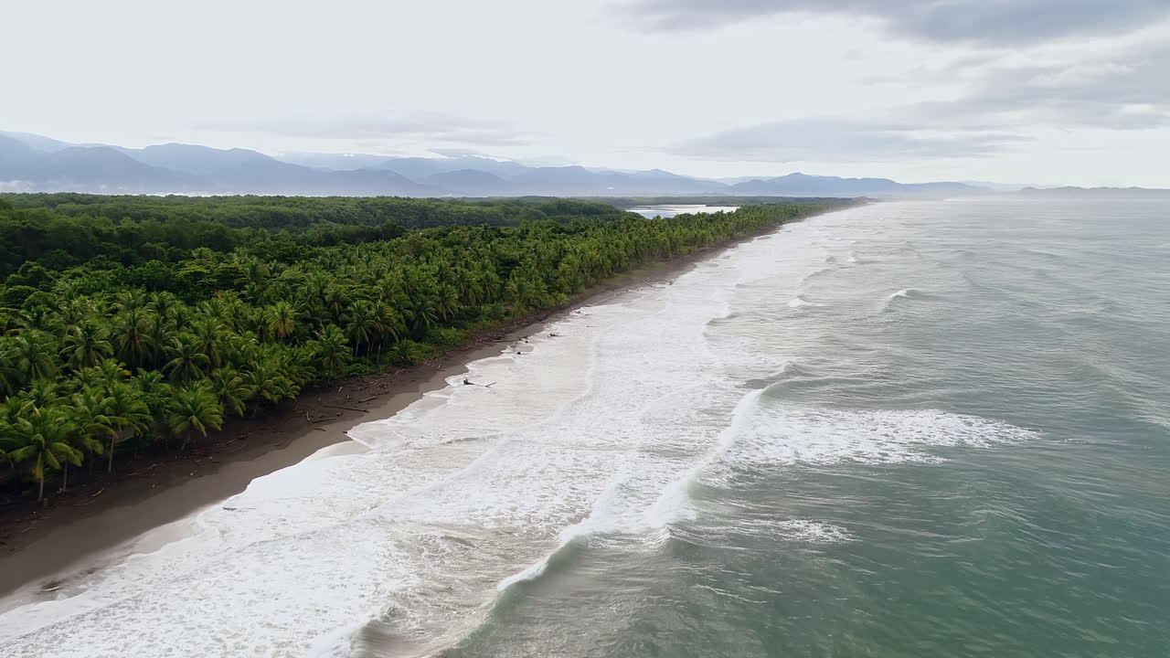antena moviéndose hacia la remota playa cubierta de palmeras en costa rica mientras las olas llegan, 4k