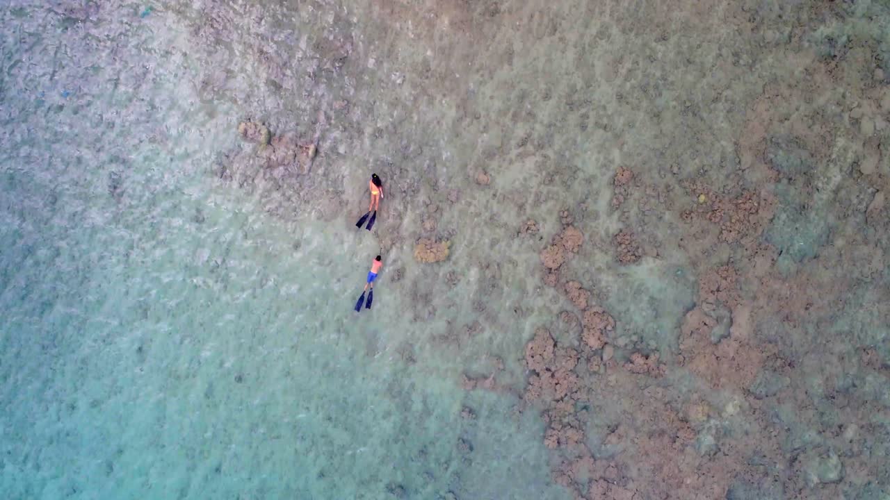 바다에서 스노클링을 하는 커플 4k