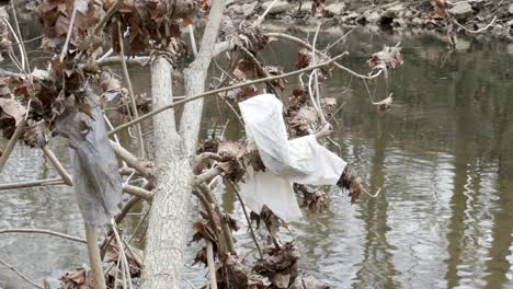 plastic trash hanging from tree by river