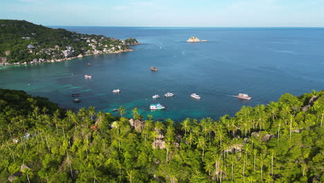 aerial of shark bay koh tao thailand diving paradise , drone reveals scenic south east asia coastline travel destination