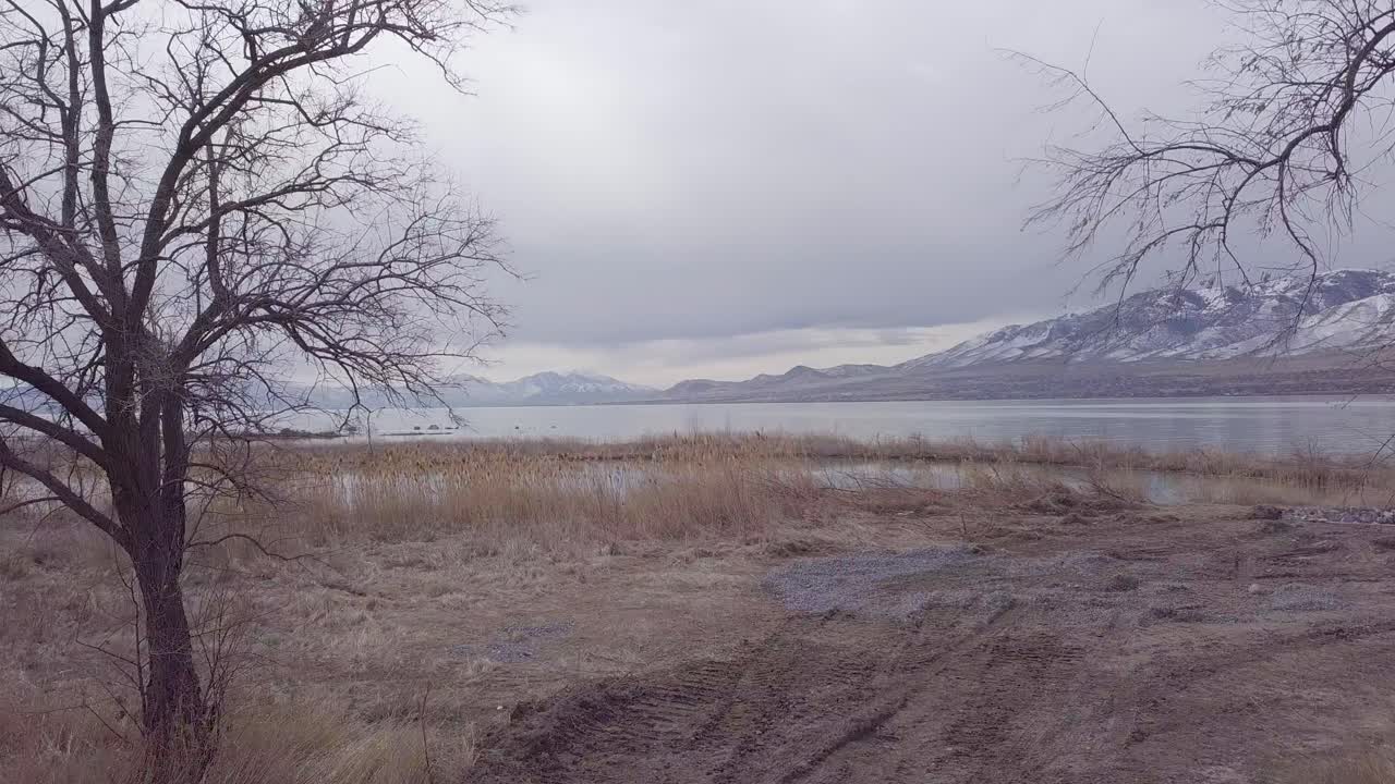 Flying between two trees to reveal a huge lake surrounded by snow-capped mountains on an overcast day