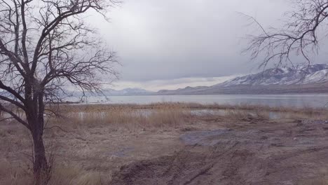 flying between two trees to reveal a huge lake surrounded by snow-capped mountains on an overcast day