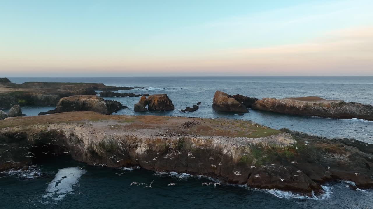Veduta aerea di uccelli marini che volano lungo la costa rocciosa della California al tramonto