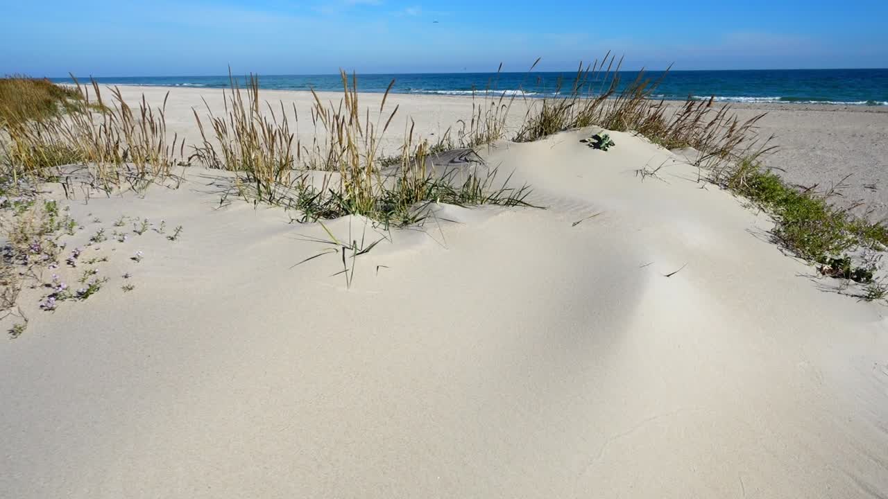Sandklitter. Optagelse i bevægelse