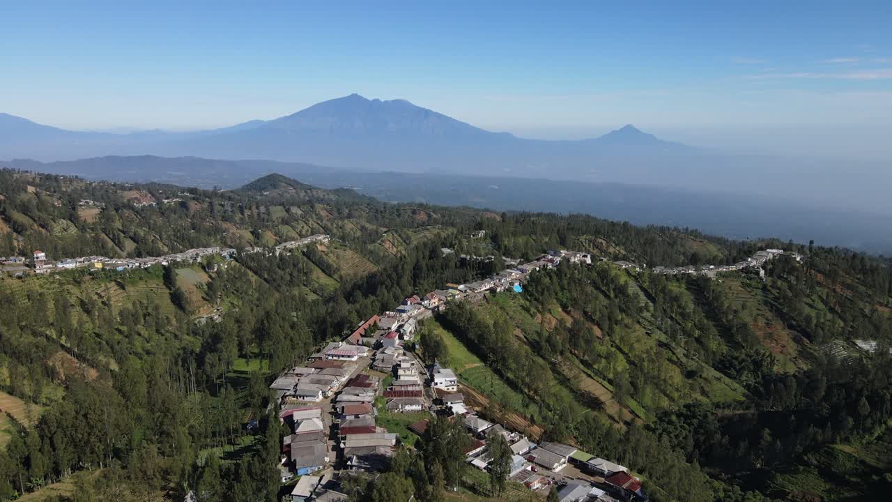 Vista aerea con drone di una comunità rurale indonesiana immersa tra terreni agricoli terrazzati e alti pini sui pendii montani