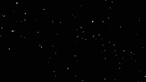 snowflakes on black background