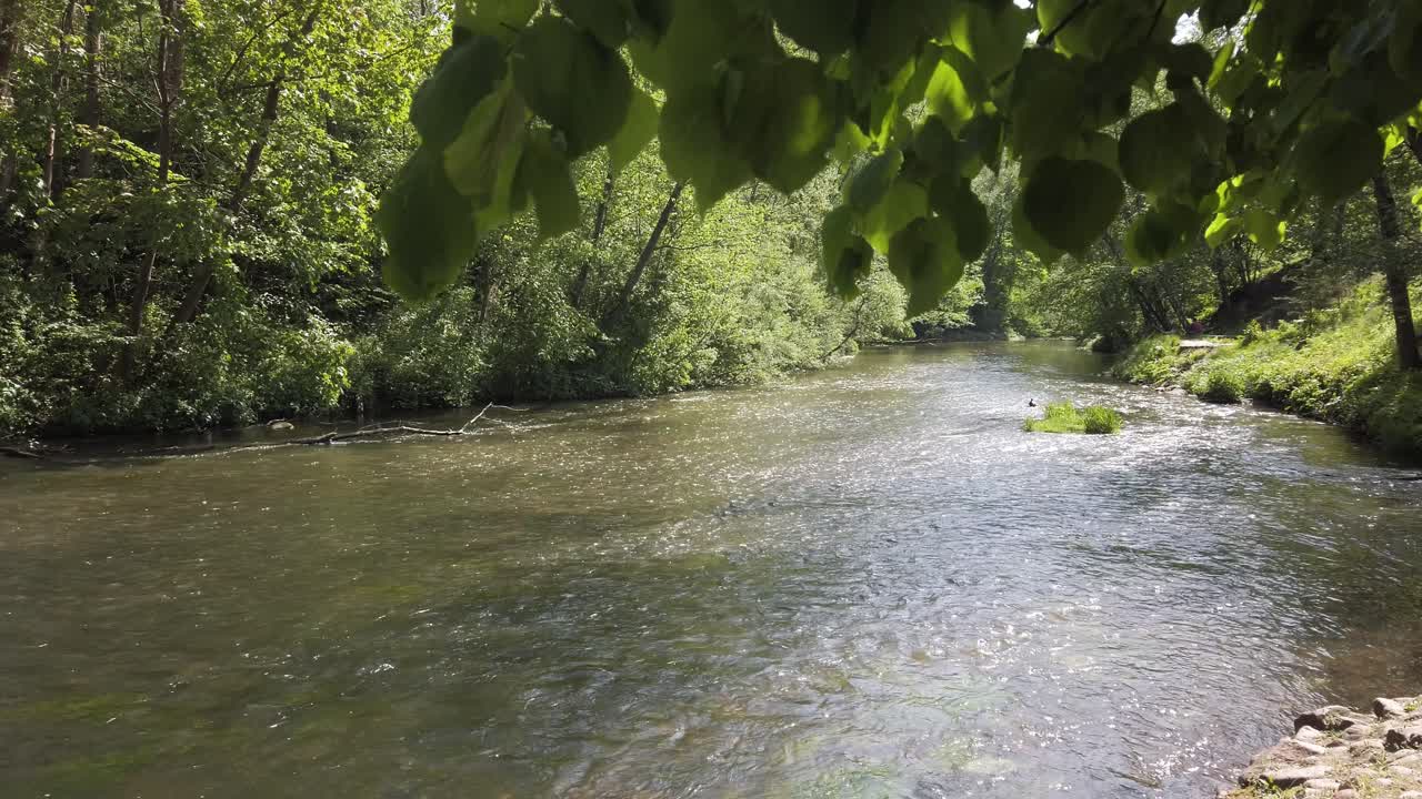 Lo scorrere del fiume circondato dalla splendida natura e dagli alberi.