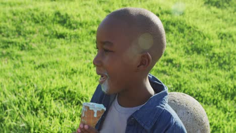 video de un feliz niño afroamericano comiendo helados en la hierba en un día soleado