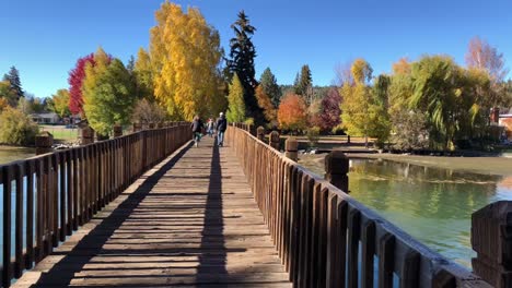 andar en bicicleta a través de un puente sobre un río