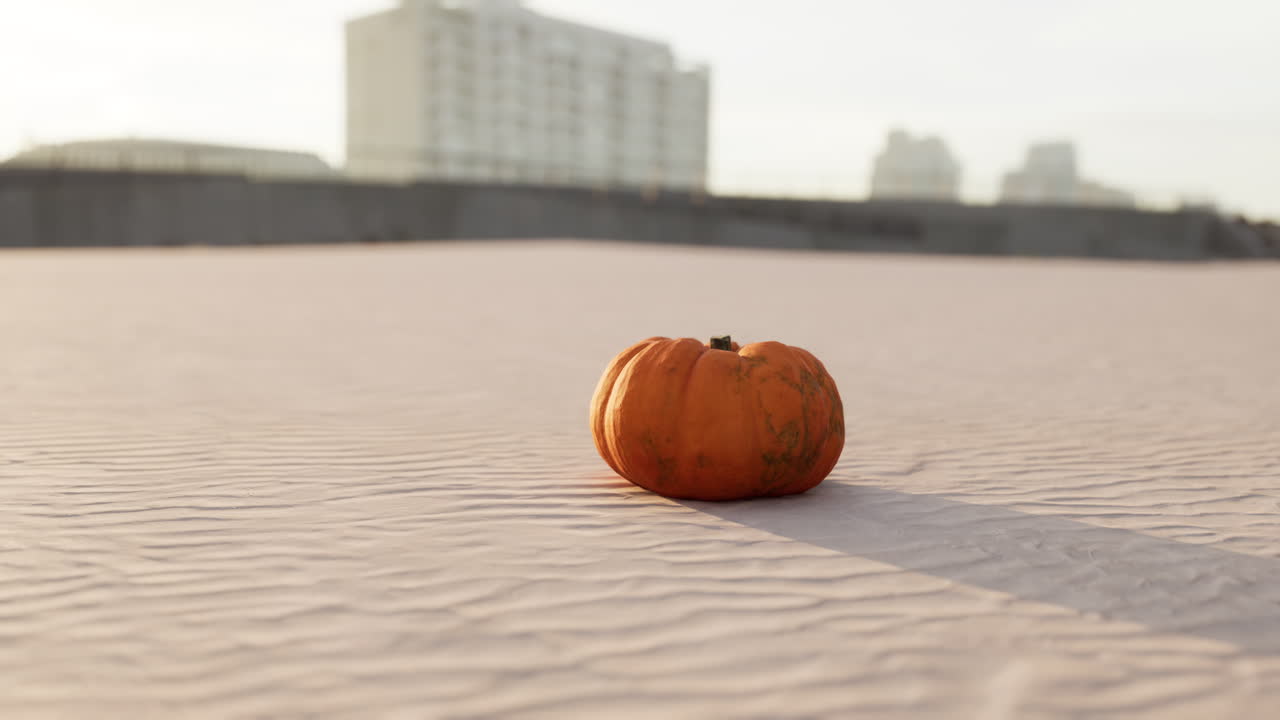 calabaza de halloween en las dunas de la playa