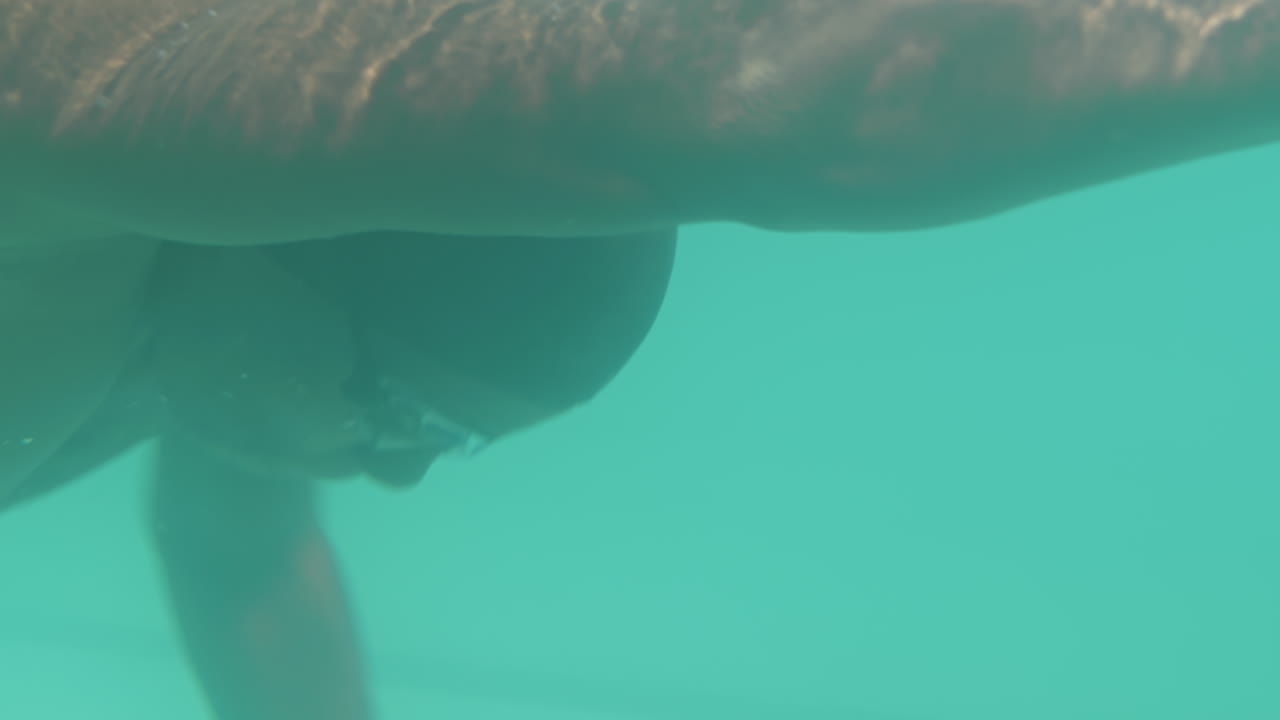 Sort mand svømmer freestyle i udendørs pool